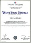 yuksek lisans diploma ornegi.JPG