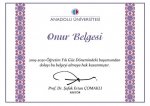 onur belgesi.jpg